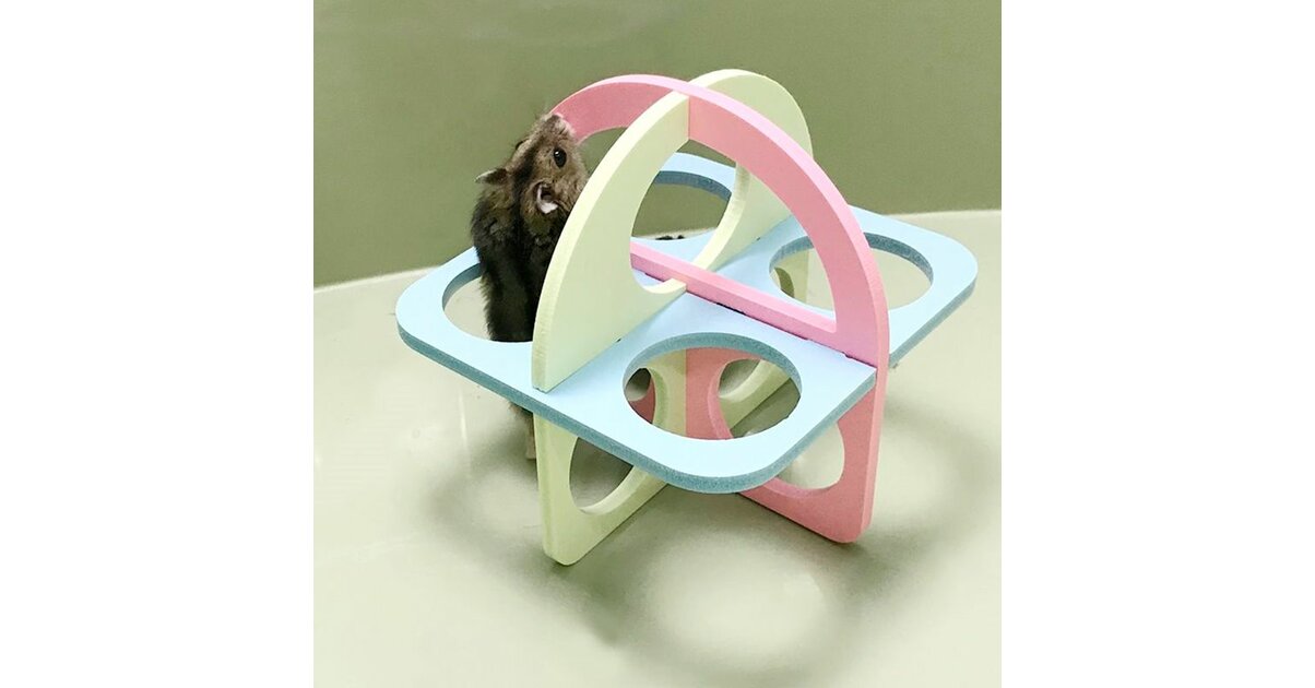 Photo inspiration: Gallery Detail: Cube D Escalade Pour Hamster Et Petits Rongeurs