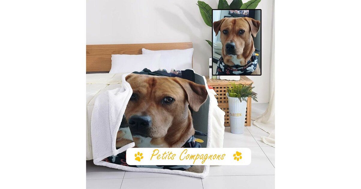 Couverture Personnalisée Pour Chat Et Chien - Douce, Chaude, Avec Nom Brodé - Idéale Voyages Et Maison