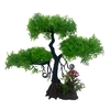 Bonsai-aquarium-Arbre-aquarium-Bonsai-hardscape-Bonsai-aquascaping