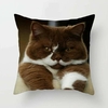 Housse-coussin-imprime-chats-Oreiller-motif-chat-mignon-Housse-personnalisee-chat