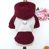 Vêtement-chaud-confortable-pour-chien-Manteau-en-peluche-pour-chien-Doudoune-hiver-chien