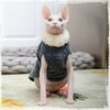 Pull-laine-chic-pour-chat-Pull-fausse-fourrure-pour-chat-Pull-tendance-hiver-chats