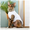 Pull-laine-chic-pour-chat-Pull-fausse-fourrure-pour-chat-Pull-tendance-hiver-chats