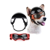 Accessoire-moto-pour-chien-avec-casque-et-lunettes-de-securite