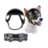 Chien-motard-casque-lunettes