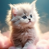 coussin-deco-chaton