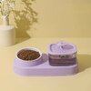 fontaine-eau-chien-chat-base-antiderapante