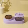 fontaine-eau-bol-chien-chat-violet