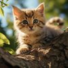 deco-maison-theme-chaton