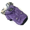 manteau-chien-couleur-violet