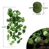 plante-suspendue-decor-terrarium-reptiles