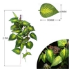 plante-suspendue-terrarium-cachette-reptile
