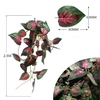 plante-suspendue-vivarium-decor-naturel