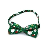 noeud-papillon-noel-avec-collier-animaux