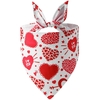 bandana-saint-valentin-animal