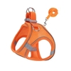 ensemble-harnais-laisse-animal