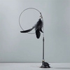 jouet-chat-interactif-plume