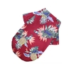 chemise-imprimee-chien-chat