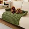 tapis-chien-salon-design