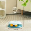 circuit-balles-chat-interactif