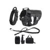 equipement-sportif-canin