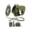 ensemble-tactique-pour-chien
