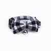 collier-adorable-pour-chien