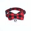 collier-reglable-chat-chien