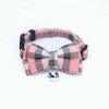 collier-avec-clochette-chat