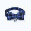 collier-chihuahua-elegant