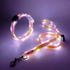 collier-et-laisse-rose-led