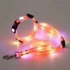 collier-et-laisse-orange-led