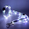 collier-et-laisse-bleu-led