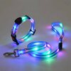 laisse-led-rechargeable-usb