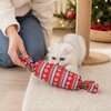 bonbon-de-noel-pour-chat