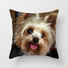 Coussin-chien-Housse-coussin-chien-Coussin-yorkshire-Coussin-york-Coussin-motif-chien