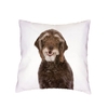 Coussin-chien-Housse-coussin-chien-Coussin-blanc-imprime-chien-Coussin-motif-chien-Coussin-husky