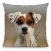 Coussin-chien-Housse-coussin-chien-Coussin-jack-russell-Coussin-motif-chien-Coussin-jack-russell-terrier