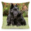 Coussin-chien-Housse-coussin-chien-Coussin-scottish-terrier -Coussin-motif-chien-Coussin-terrier-ecossais