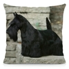 Coussin-chien-Housse-coussin-chien-Coussin-scottish-terrier -Coussin-motif-chien-Coussin-terrier-ecossais