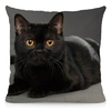 Coussin-chat-Housse-coussin-chat-Coussin-chat-bombay -Coussin-motif-chat-Coussin-bombay