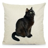 Coussin-chat-Housse-coussin-chat-Coussin-chat-bombay -Coussin-motif-chat-Coussin-bombay