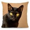 Coussin-chat-Housse-coussin-chat-Coussin-chat-bombay -Coussin-motif-chat-Coussin-bombay