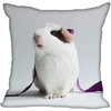 Coussin-rongeur-Housse-coussin-cochon-d-inde-Coussin-chon-Coussin-motif-cobaye-Coussin-cobaye