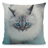 Coussin-chat-Housse-coussin-chat-Coussin-chat-siberien-Coussin-motif-chat-Coussin-chat-blanc