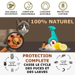 Collier-de-prevention-puces-et-tiques-pour-chats-chiens-Collier-anti-puces-chat-chien-Collier-anti-tiques-chat-chien-Collier-repulsif-Collier-antiparasitaire-animaux-de-compagnie-Collier-insectifuge-Collier-seresto