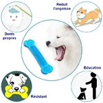 Jouets-pour-chiens-chien-a-macher-hygiene-dentaire-dentition-os-etoile-saucisse-baton-batonnet-mordre-mordiller-brosse-dent-dents