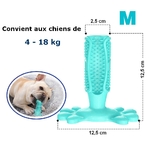 Jouets-pour-chiens-chien-a-macher-hygiene-dentaire-dentition-os-etoile-saucisse-baton-batonnet-mordre-mordiller-brosse-dent-dents