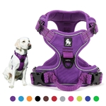 Harnais-anti-traction-pour-chien-Harnais-pour-grand-chien-Harnais-ruffwear