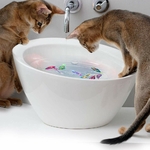Jouet-poisson-pour-chat-Poisson-interactif-pour-chat-Poisson-qui-bouge-pour-chaton